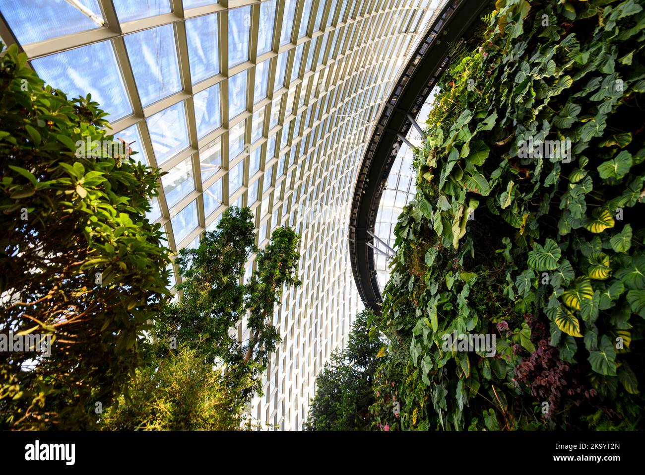 Cloud forest greenhouse - botanical garden in Marina Bay, Singapore Stock Photo