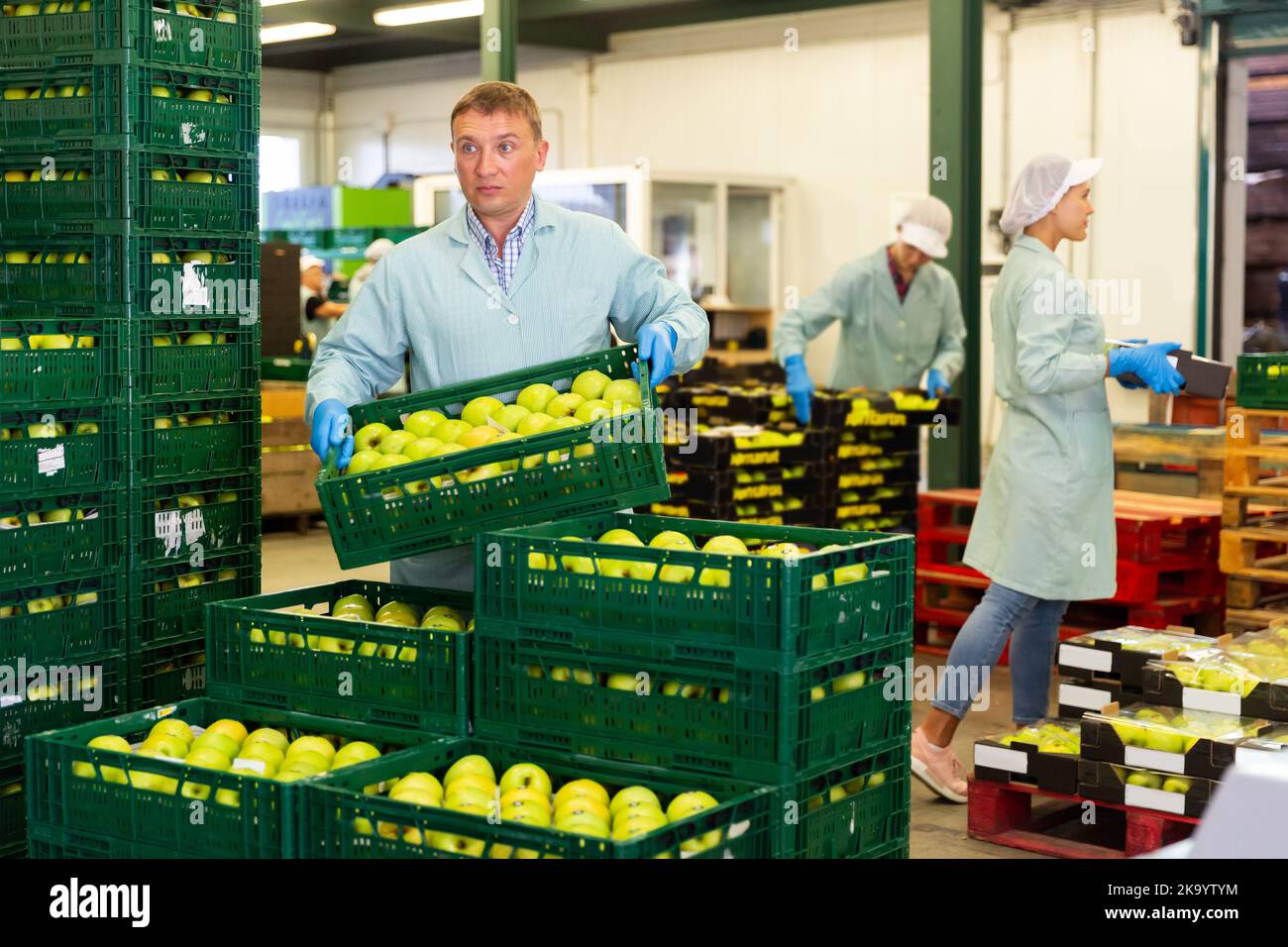 Man arranges boxes with apples at factory Stock Photo