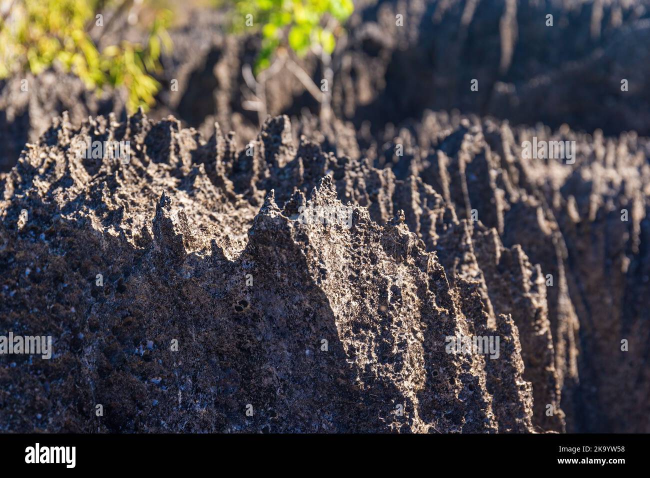 The great Tsingy de Bemaraha of Madagascar in the Tsingy de Bemaraha Integral Nature Reserve of UNESCO Stock Photo