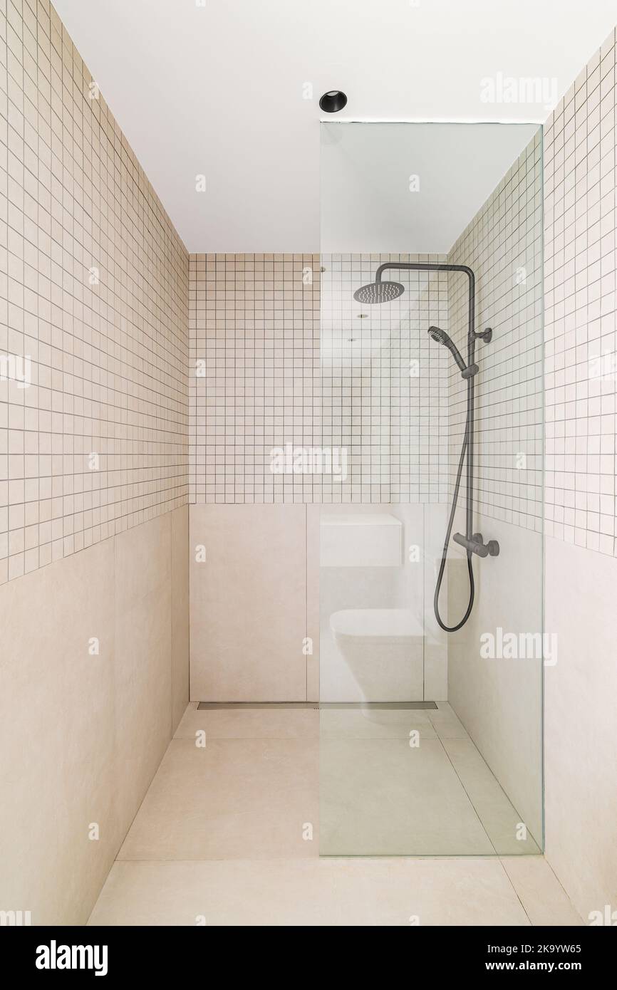 Modern shower zone with rain head, hand held shower with glass