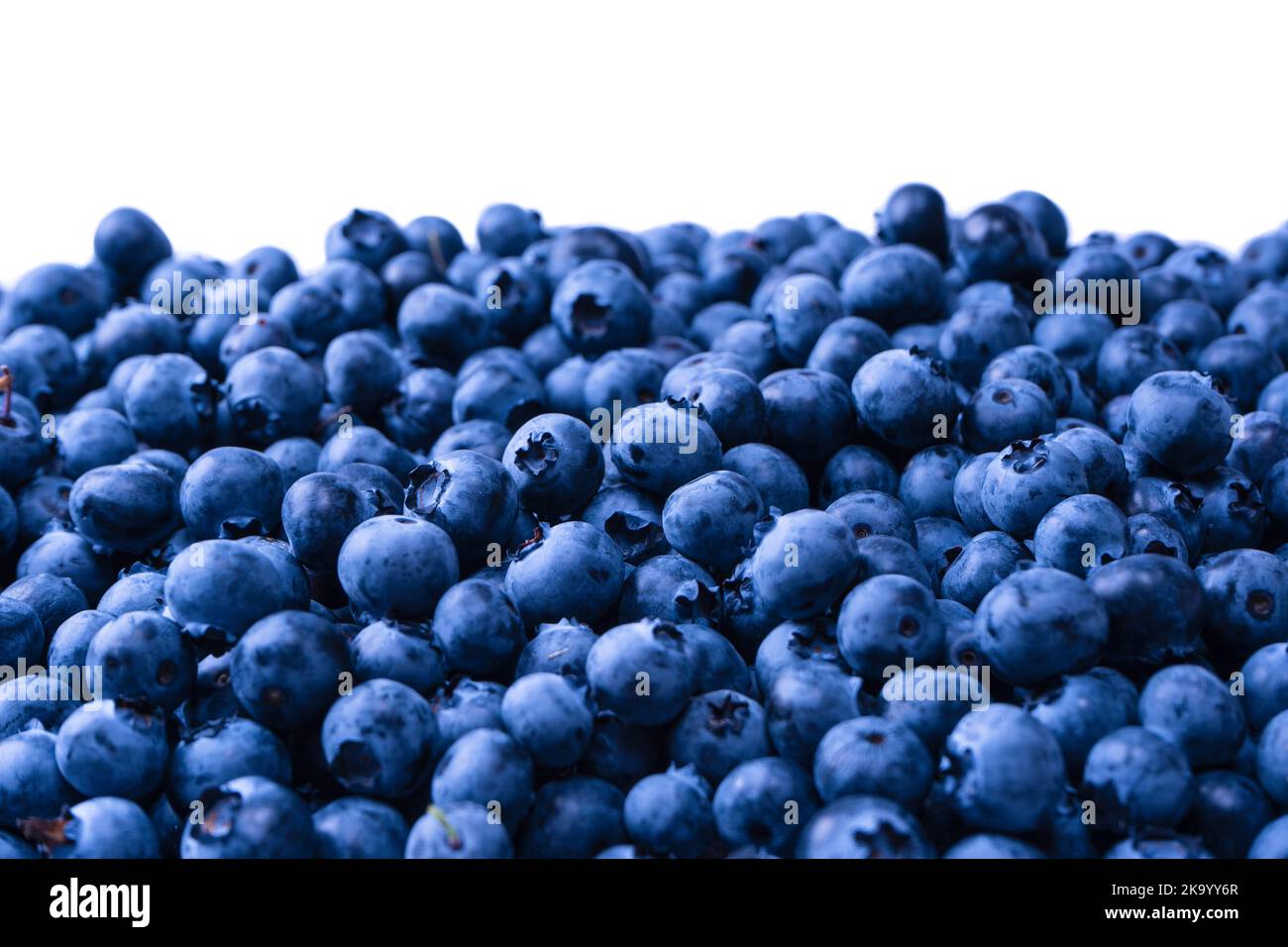 Fresh blueberry as a background isolated on white background. Stock Photo