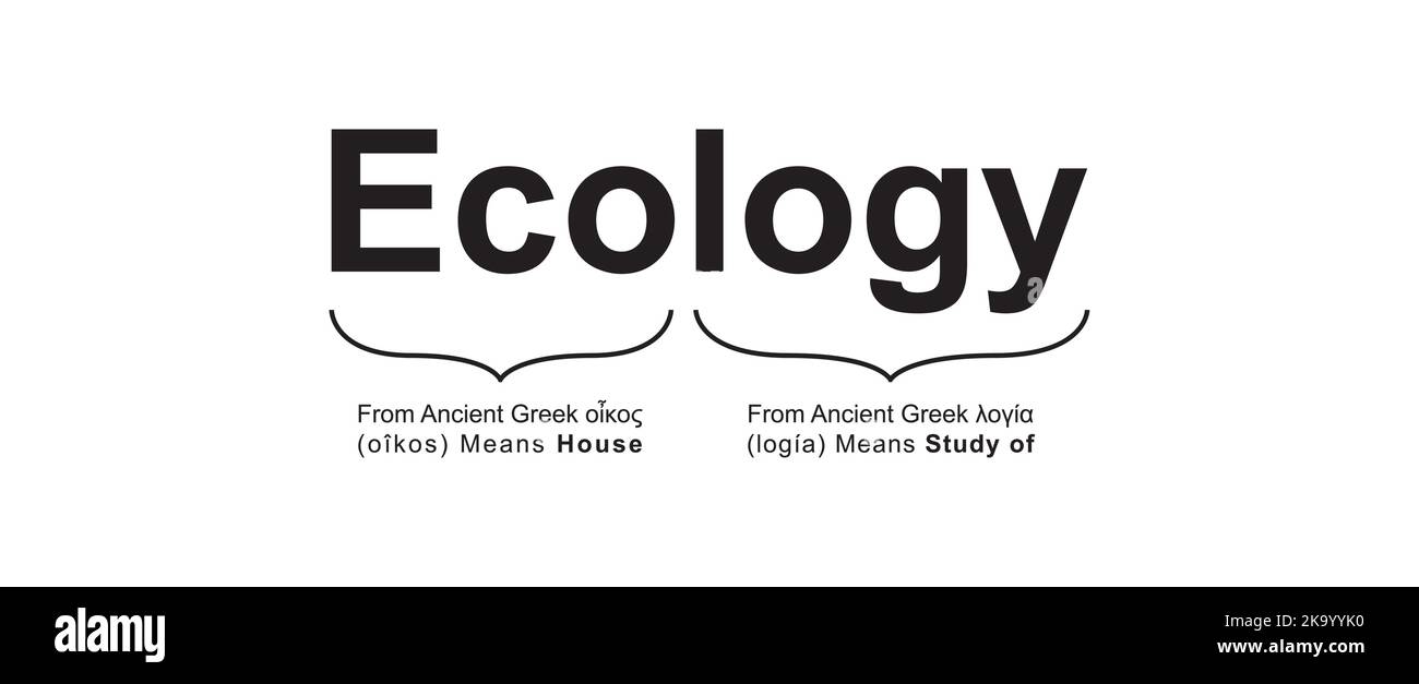 Ecology Meaning Concept Design. Vector Illustration Stock Vector Image