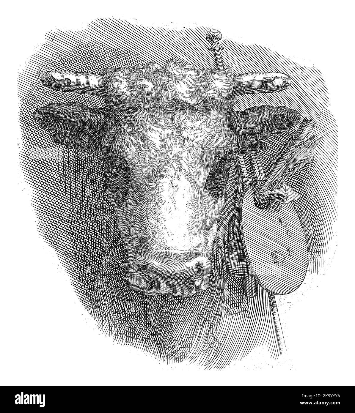 Head of an ox, front view. A palette with brushes and other painting