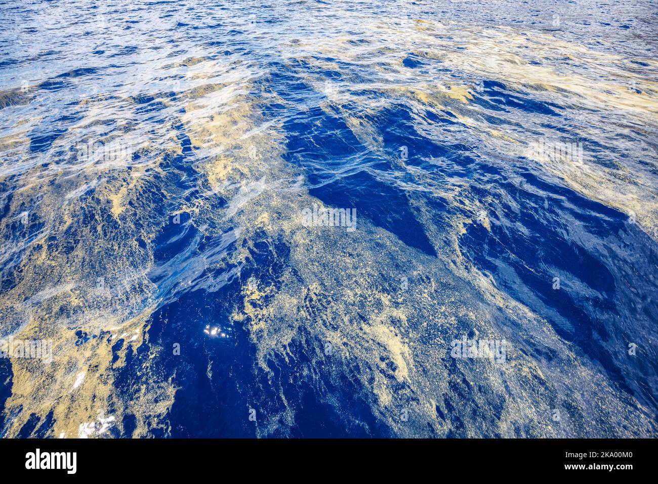 A view from above of a coral spawn slick drifting on the surface of the Pacific off the coast of Maui, Hawaii. Stock Photo