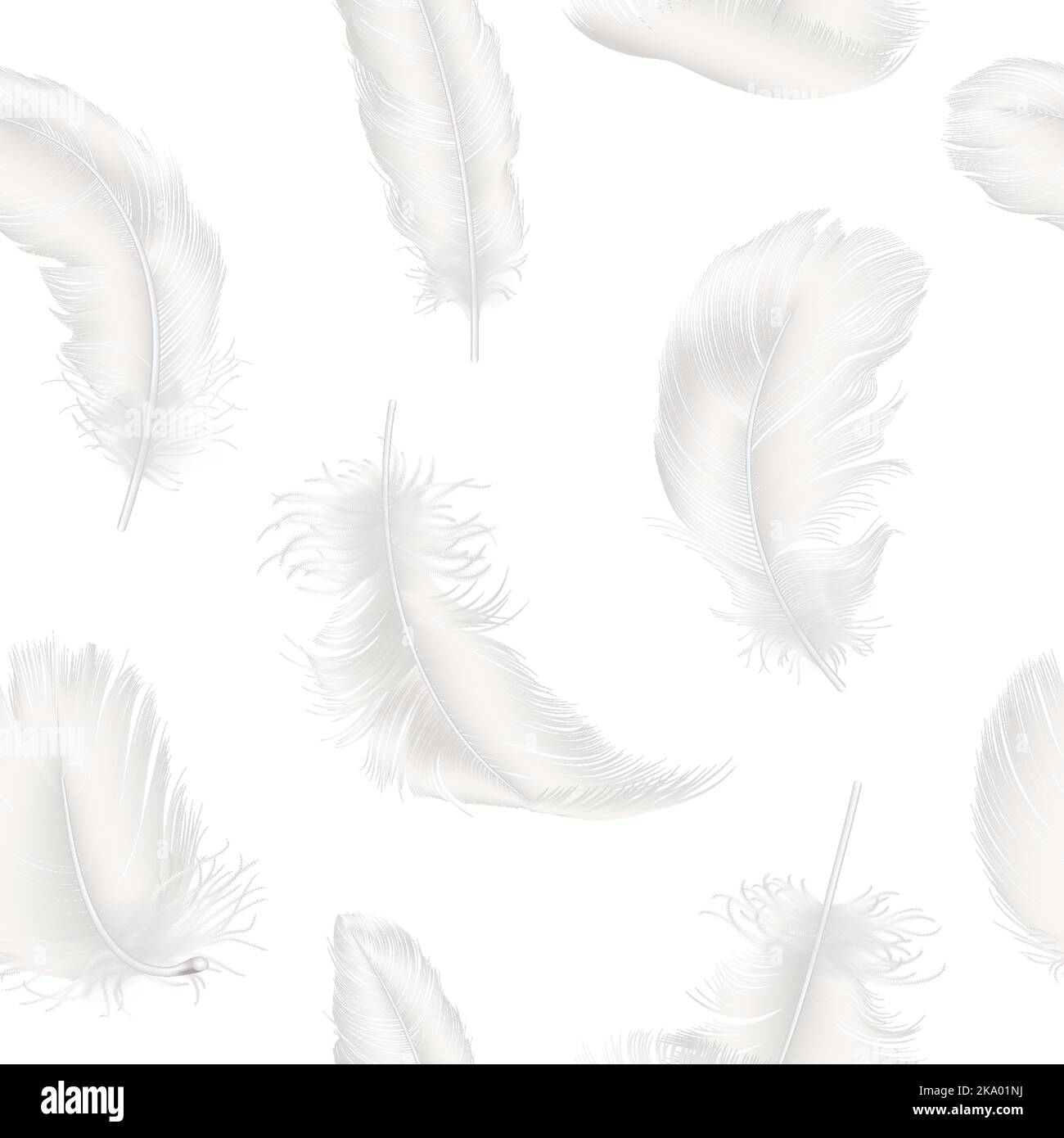 Realistic Feathers White Bird Falling Feather Isolated On White Background  Vector Collection Illustration Of Feather Bird Soft White Plume Stock  Illustration - Download Image Now - iStock