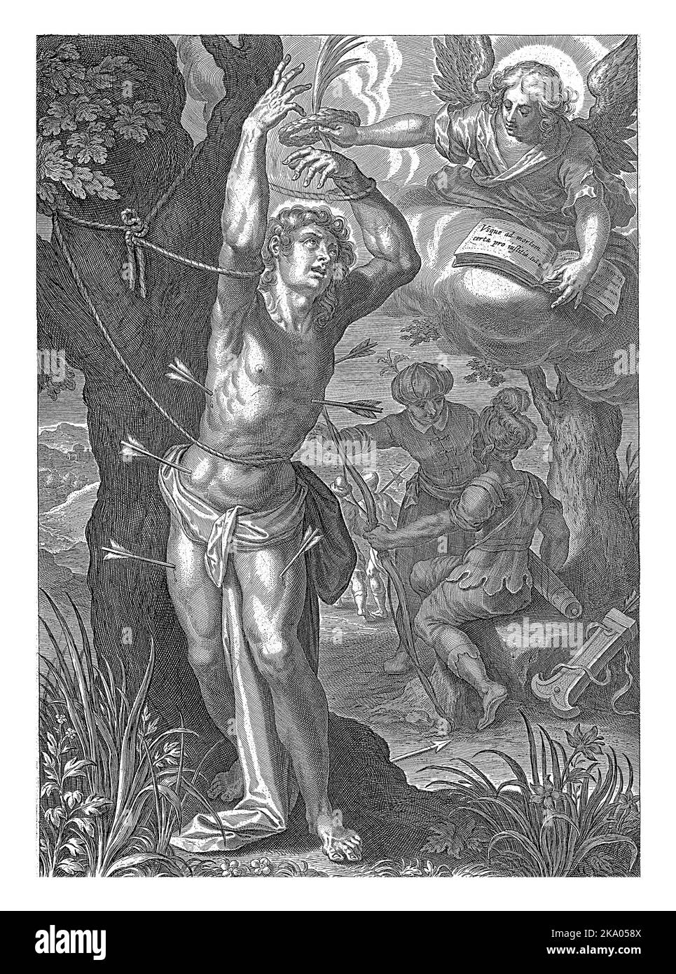 Torture tree Cut Out Stock Images & Pictures Alamy