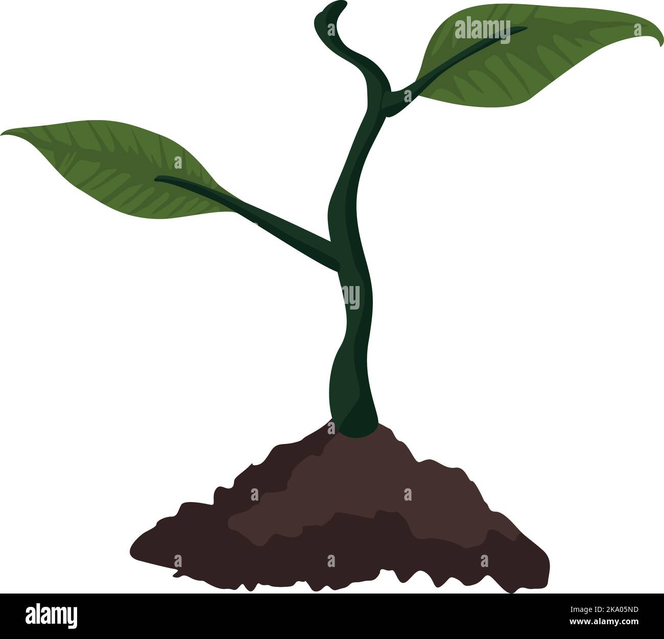 plant garden nature Stock Vector Image & Art - Alamy
