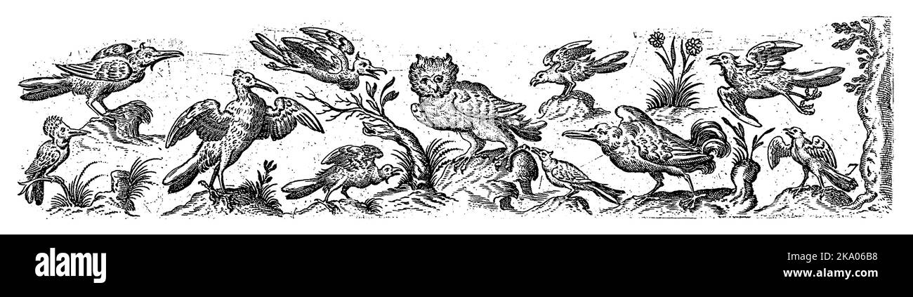 Frisian with eleven birds, at the right end is a tree, anonymous, after Hans Collaert (I), 1530 - 1580 In the middle is an owl, at the bottom left is Stock Photo