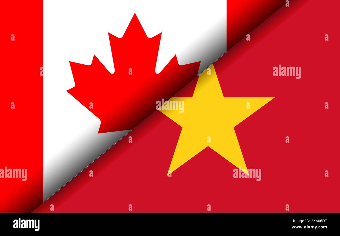Fanion Vintage Vietnam Avec Blason Drapeau Pays Pennant Wimpel Collection
