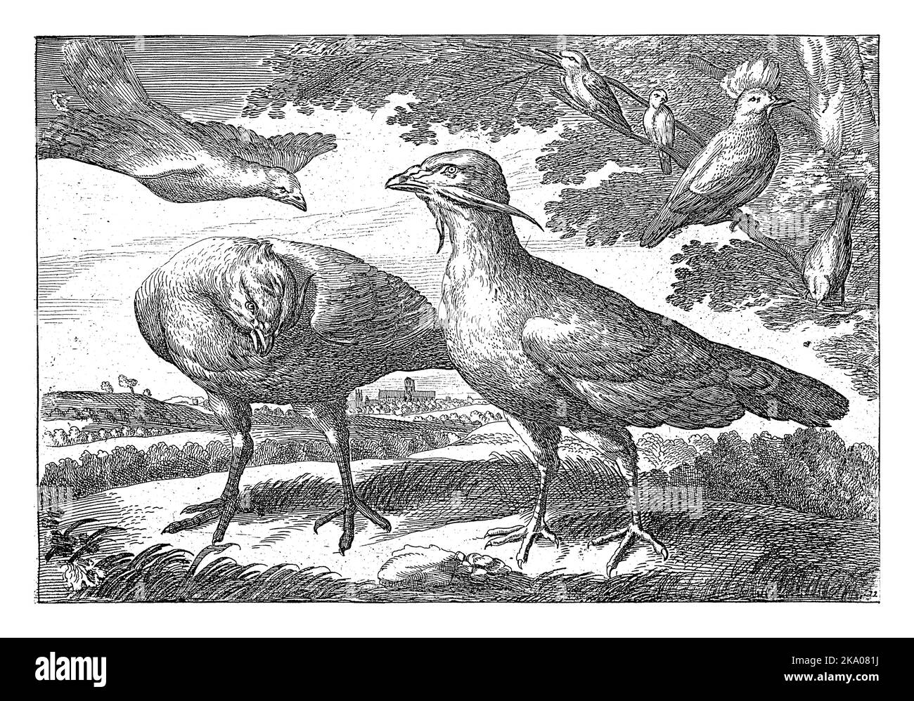 Trapped geese in a landscape. On the right four birds, including a cockatoo, in a tree. Stock Photo