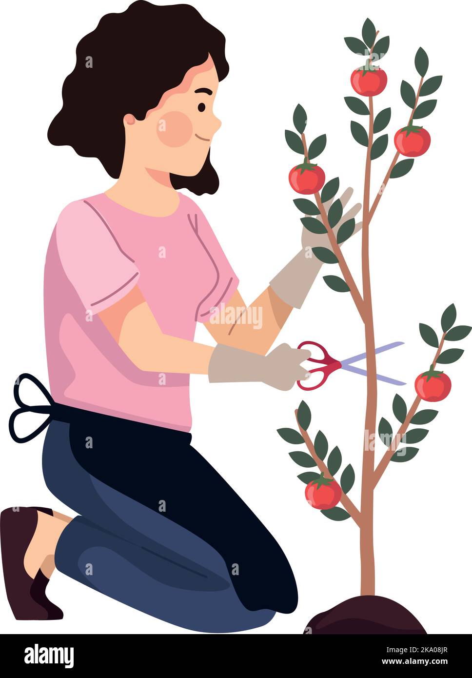 female farmer with tomato plant Stock Vector Image & Art - Alamy
