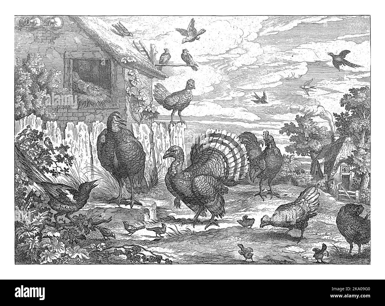 Poultry at a farm house and a dovecote. In the foreground a turkey, some chickens, a rooster and other fowl. In the margin the names of the birds in E Stock Photo