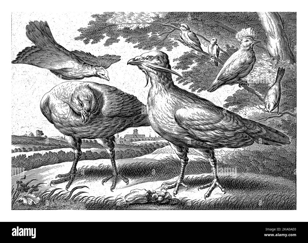 Trapped geese in a landscape. On the right four birds, including a cockatoo, in a tree. Stock Photo