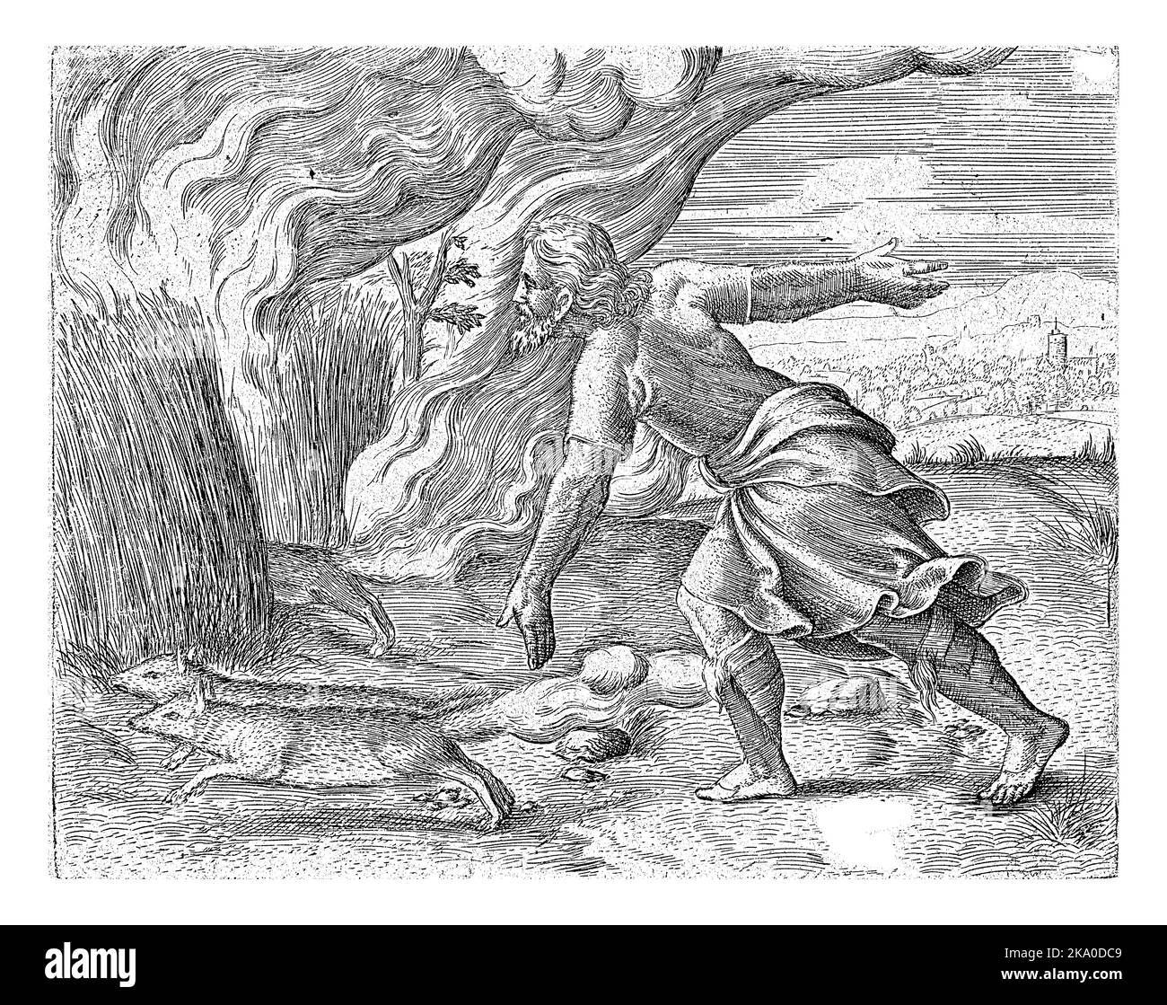 Samson sets fire to the cornfields of the Philistines, Cornelis Massijs, 1562 Samson sets fire to the cornfields of the Philistines by binding foxes t Stock Photo