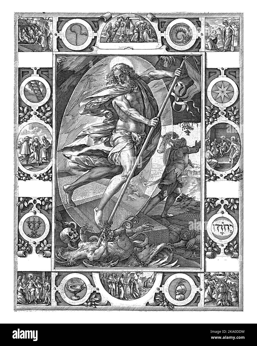 Animal on the ground Cut Out Stock Images Pictures Alamy