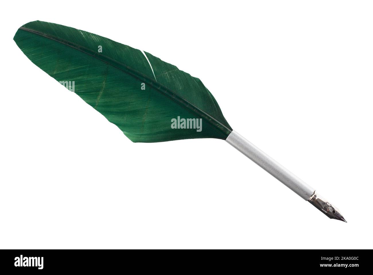 Antique vintage feather quill. Isolated on white background Stock Photo