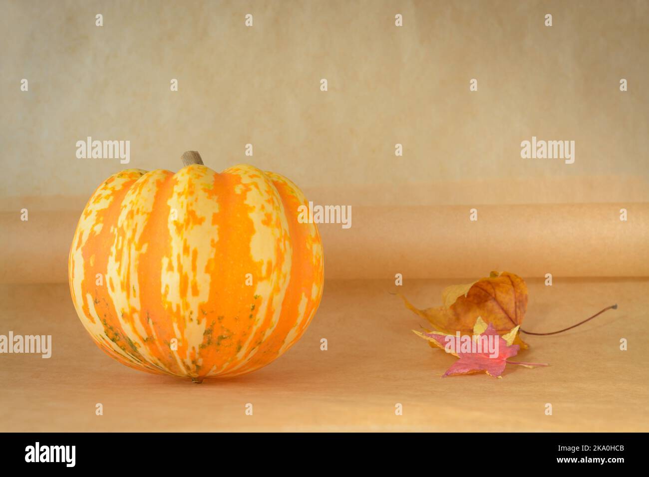 Small deuorative pumpkin with spots on a beige background in a horizontal format Stock Photo