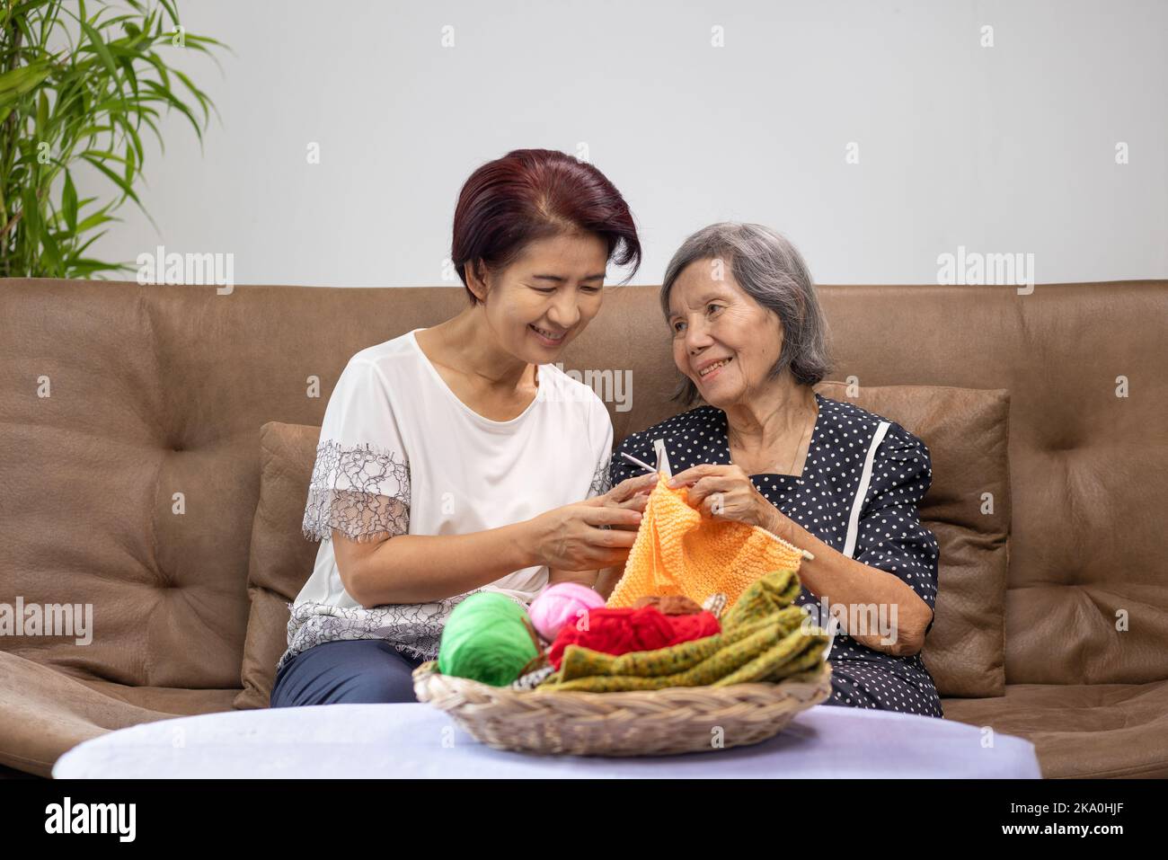 Elderly woman and daughter knitting together for protect dementia and memory loss. Stock Photo