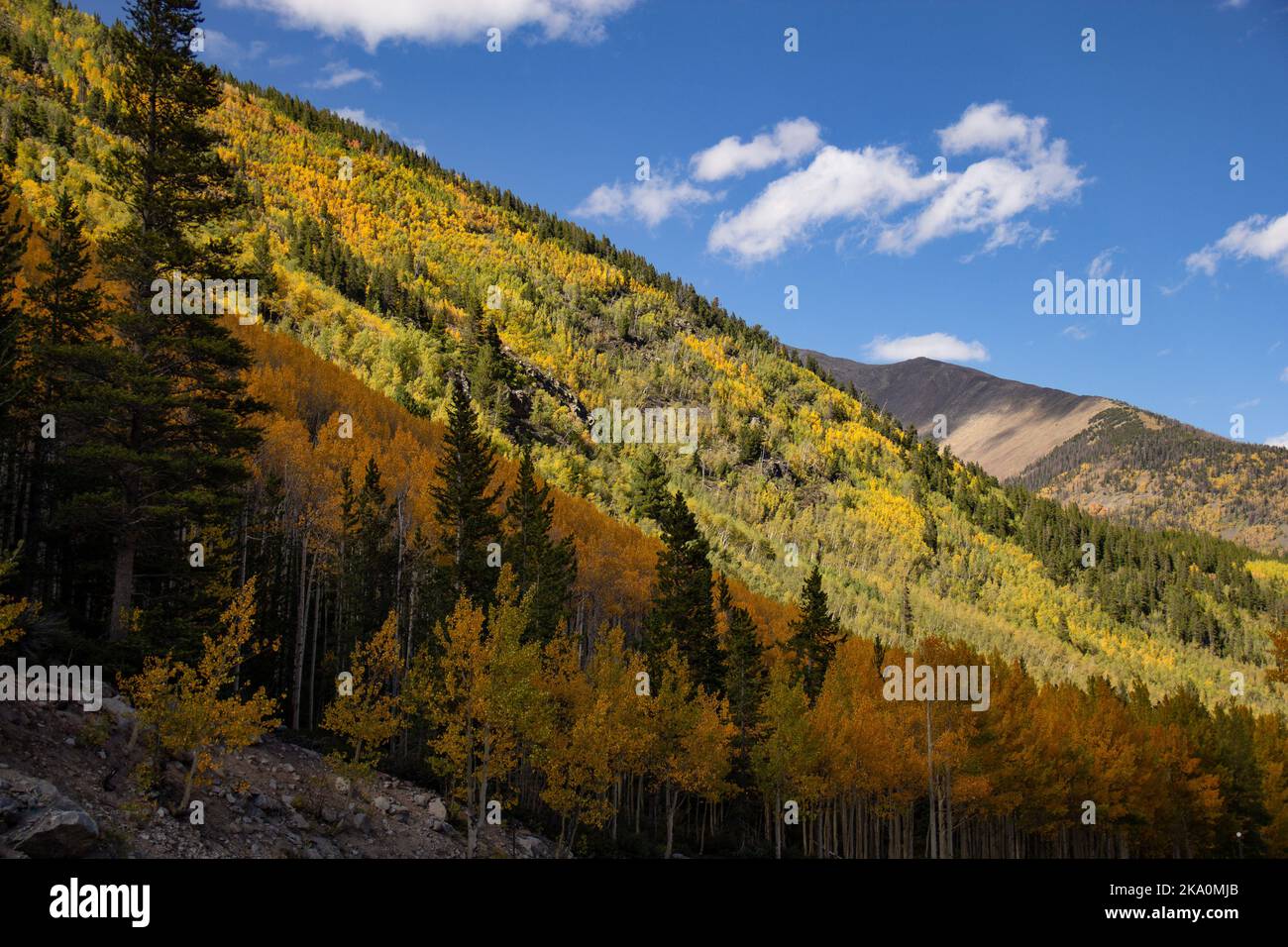 rocky mountain fall Stock Photo - Alamy