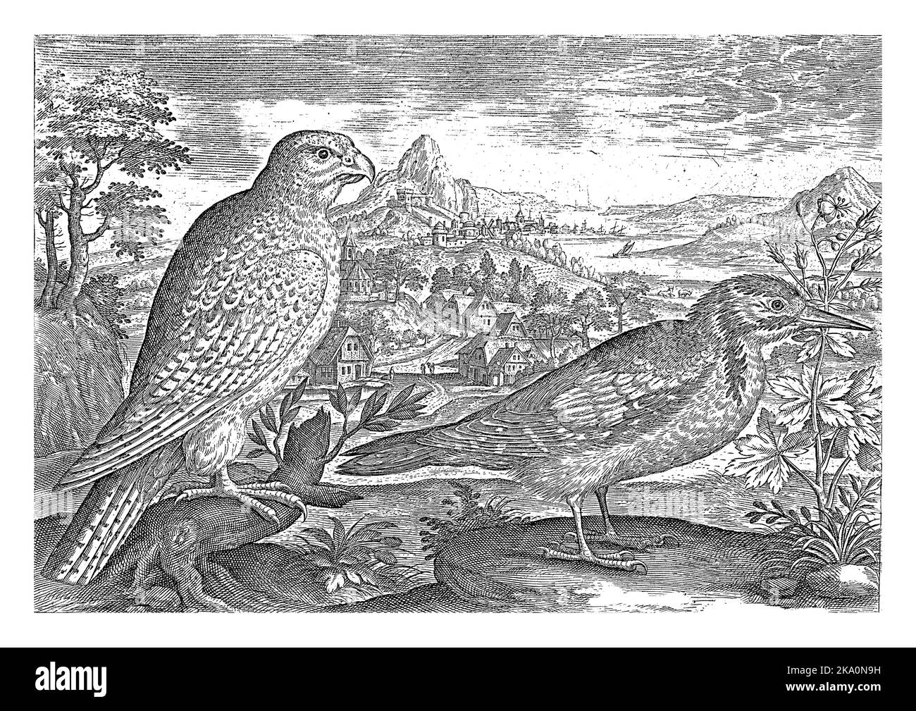 A kestrel and a gray spotted woodpecker in a landscape. The print is