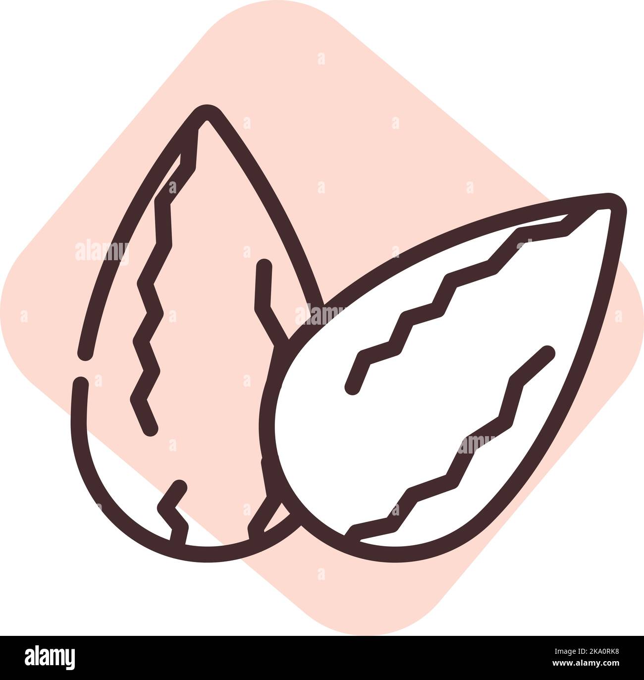 Almond icon Stock Vector Images Alamy