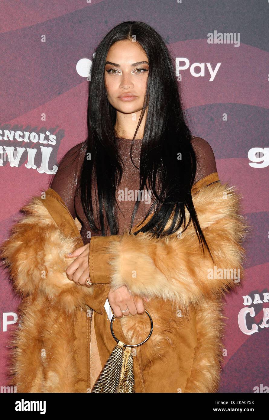 LOS ANGELES, CA - OCTOBER 29: Fashion Model Shanina Shaik attends the