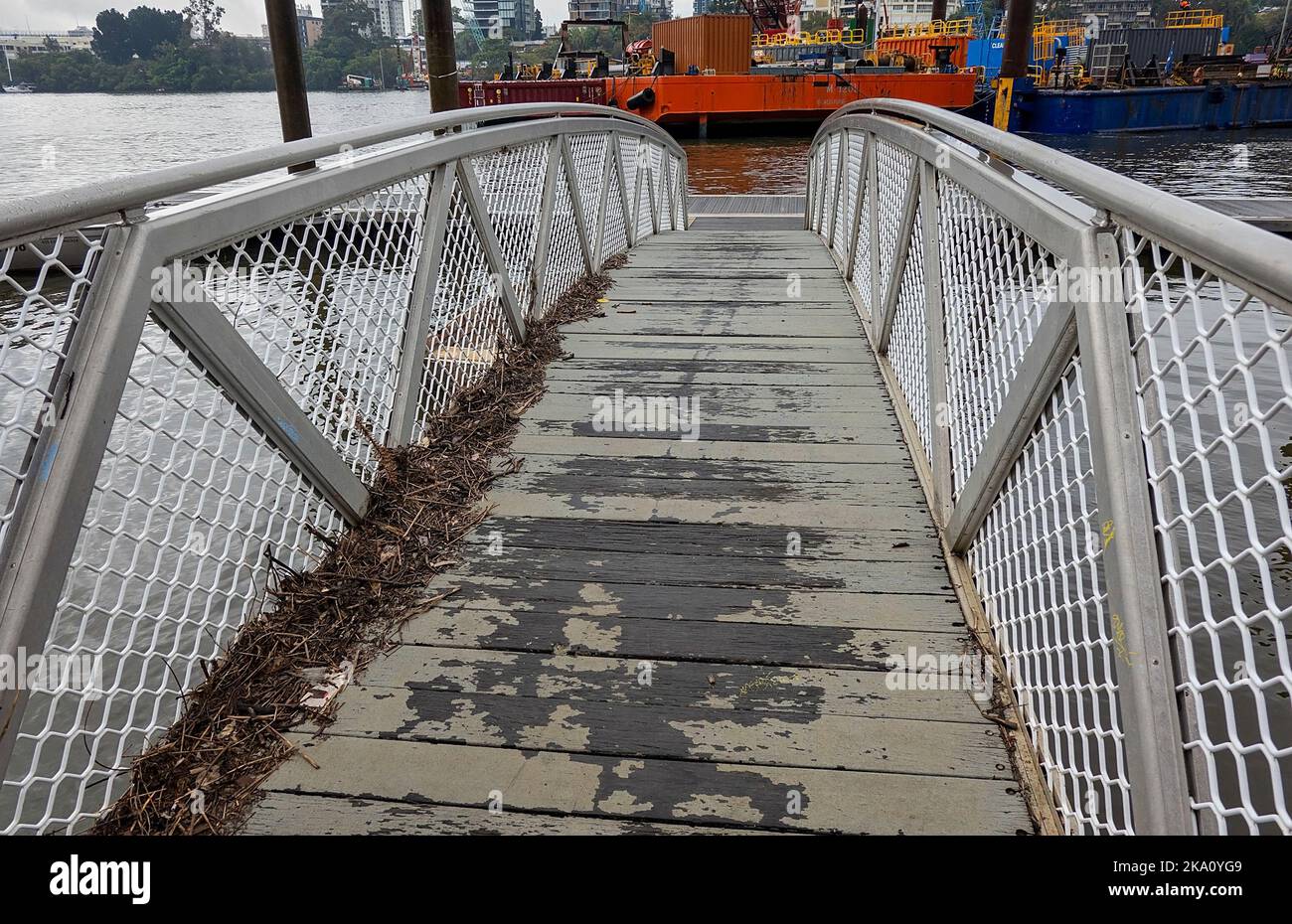 Brisbane, Queensland, Australia August 2022 A leaf strewed floating