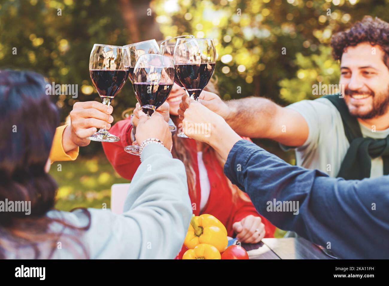 Happy friends raising wine glasses for a celebratory toast sitting in the vineyard - group of young people having fun sitting together at picnic table Stock Photo
