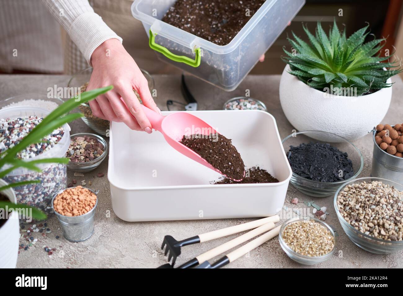 Soil Substrate Preparation For Transplanting Houseplants On Concrete life-cycle-pmi-project-phases-designinte