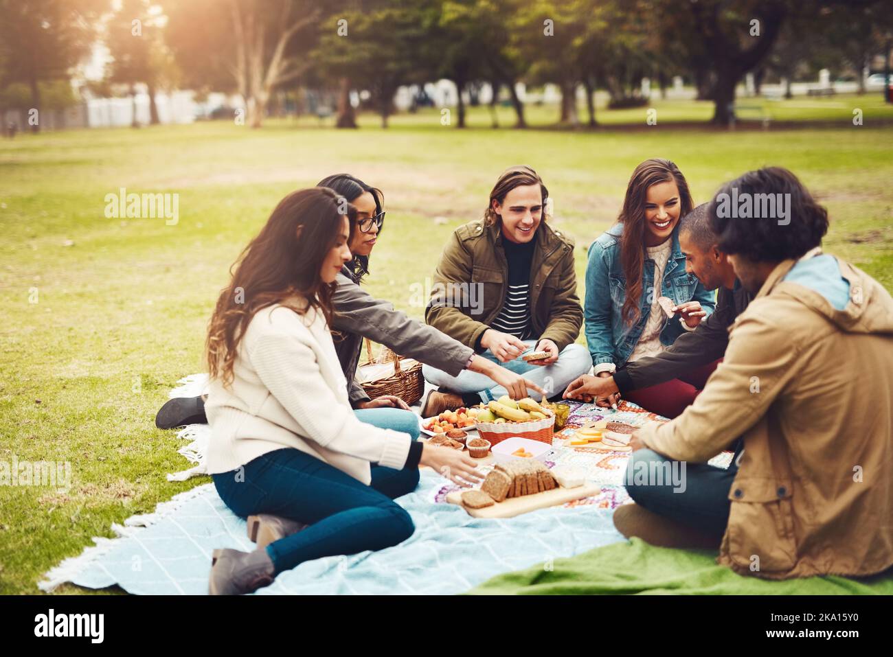 Please pass the salt. a group of cheerful young friends having a picnic