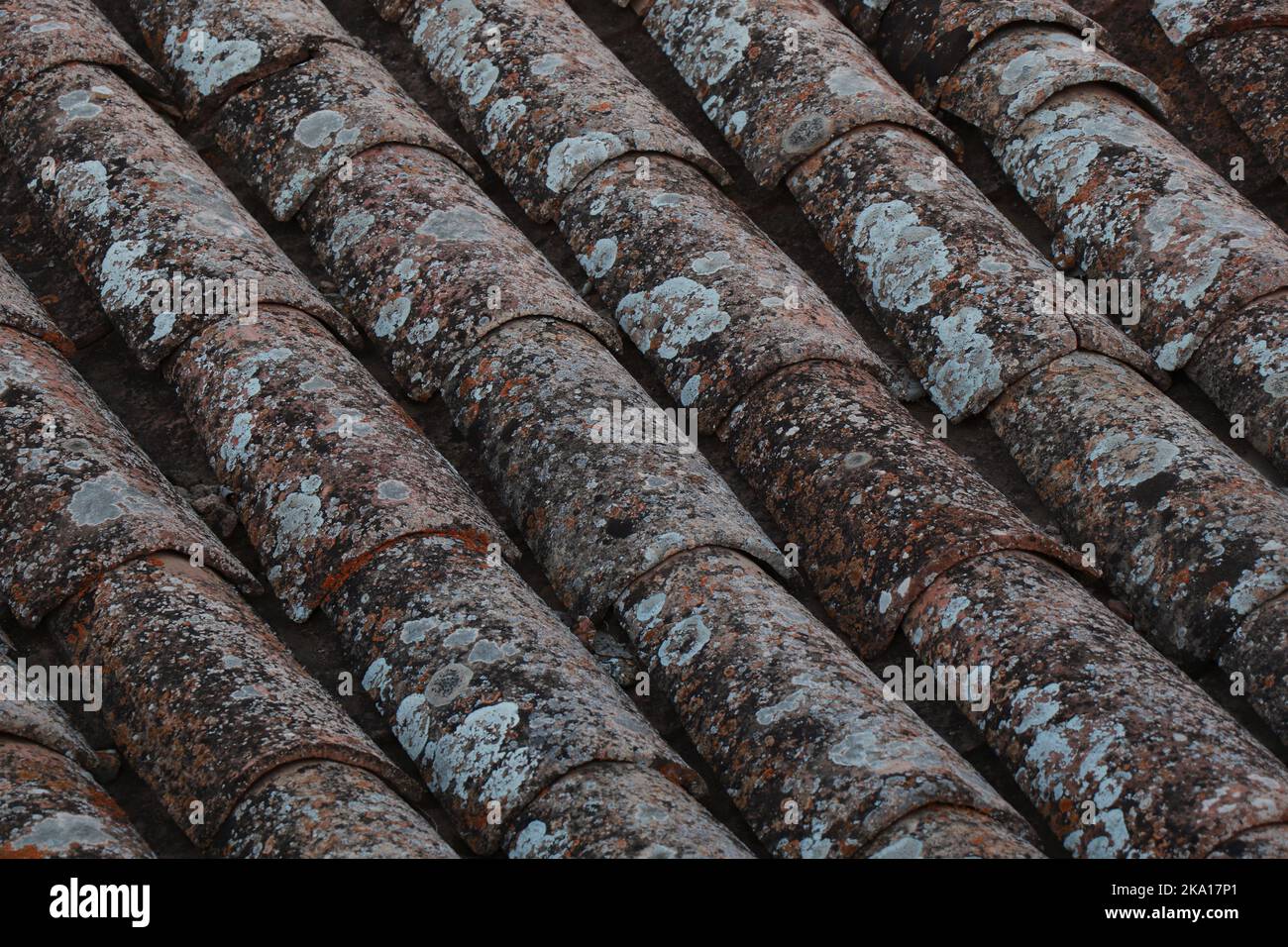 Roof tiles with lichens of an old traditional Spanish village house