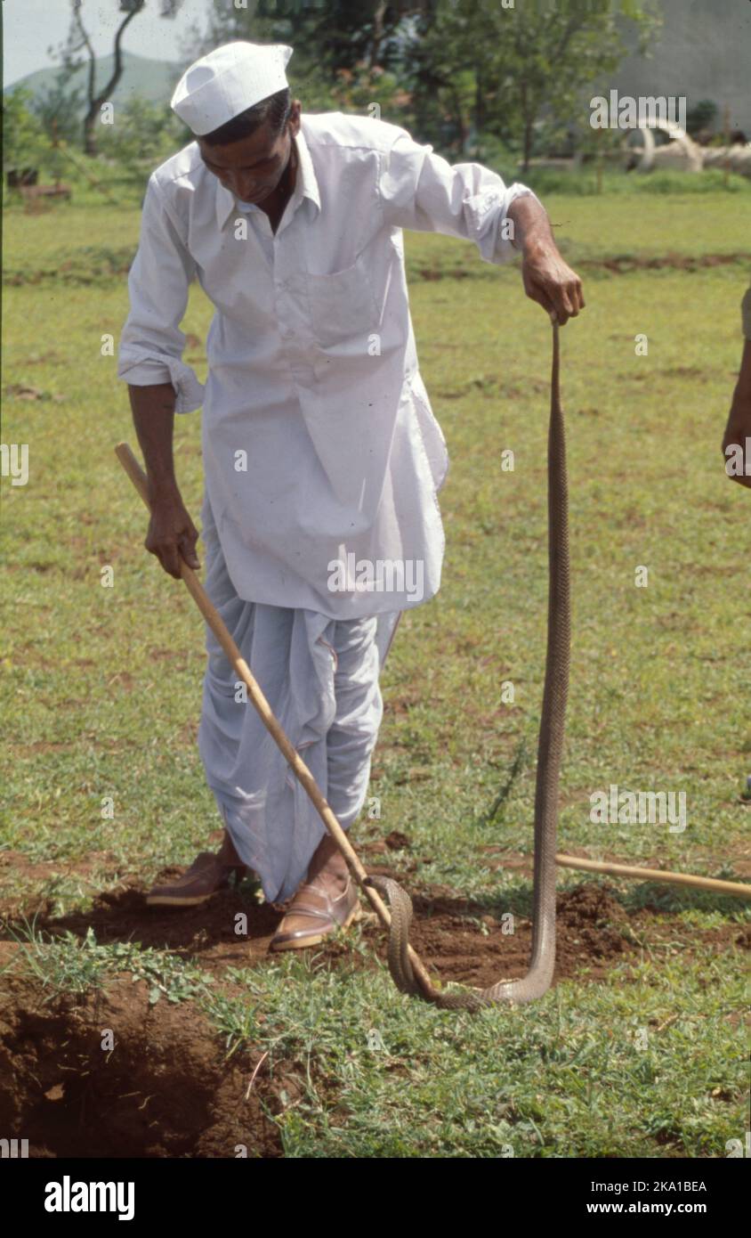 Nag Panchami Festival At Battis Shirala Village Shirala Village is in