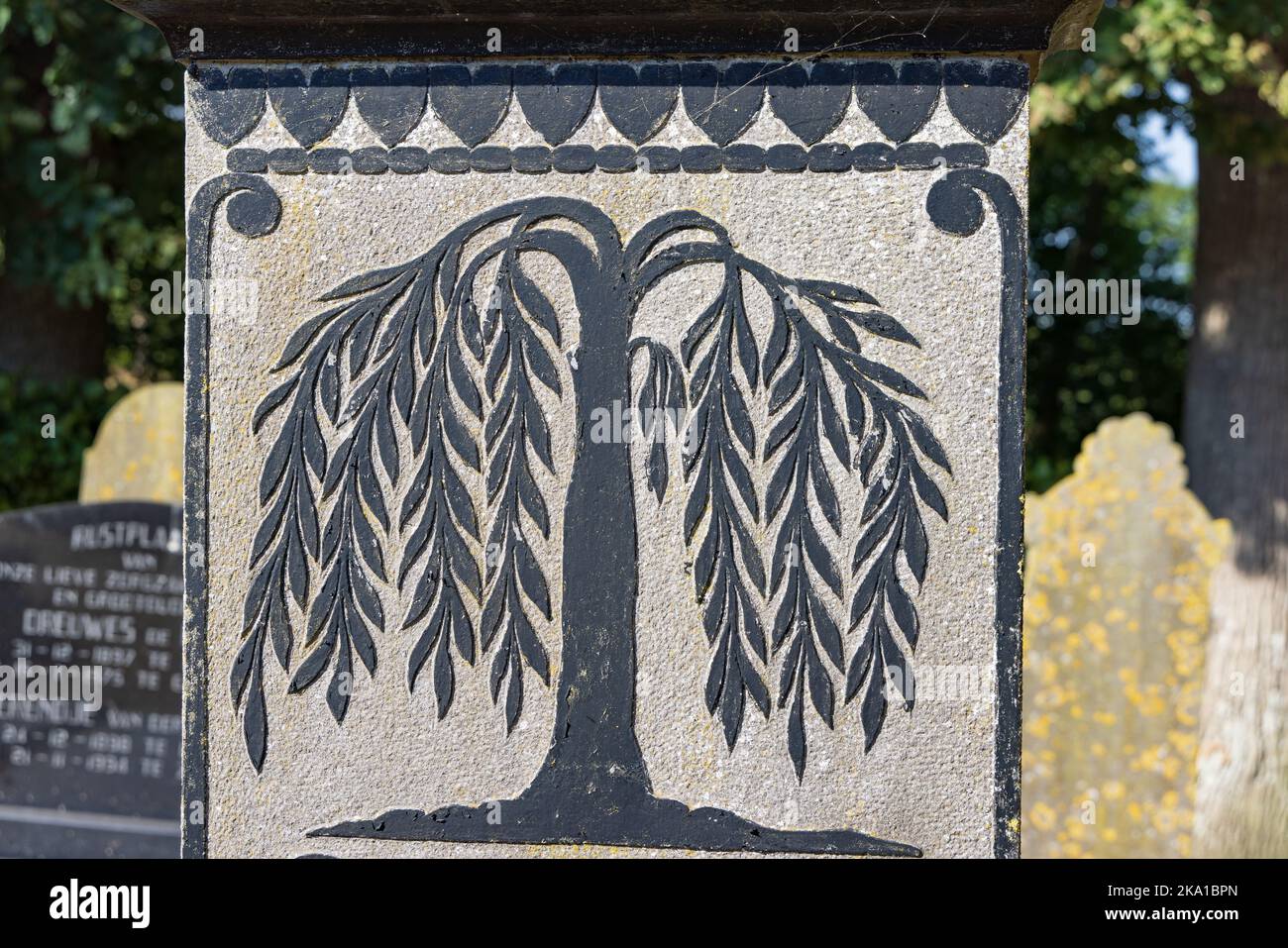 Marum, The Netherlands - September 2, 2022: Old grave with tree of life or weeping willow symbol at graveyard in Marum in municipality Westerkwartier in Groningen province the Netherlands Stock Photo