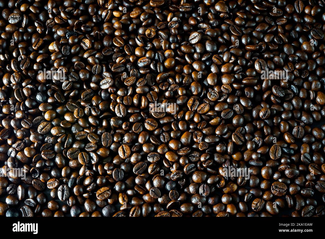 Indonesian Java coffee beans background wallpaper Stock Photo