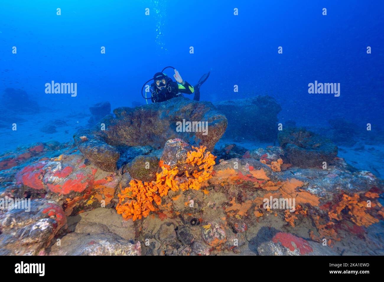 Marine biologists inspecting giant sponges of 40-50 years old in Gokova Bay Marine Protected Area Turkey Stock Photo
