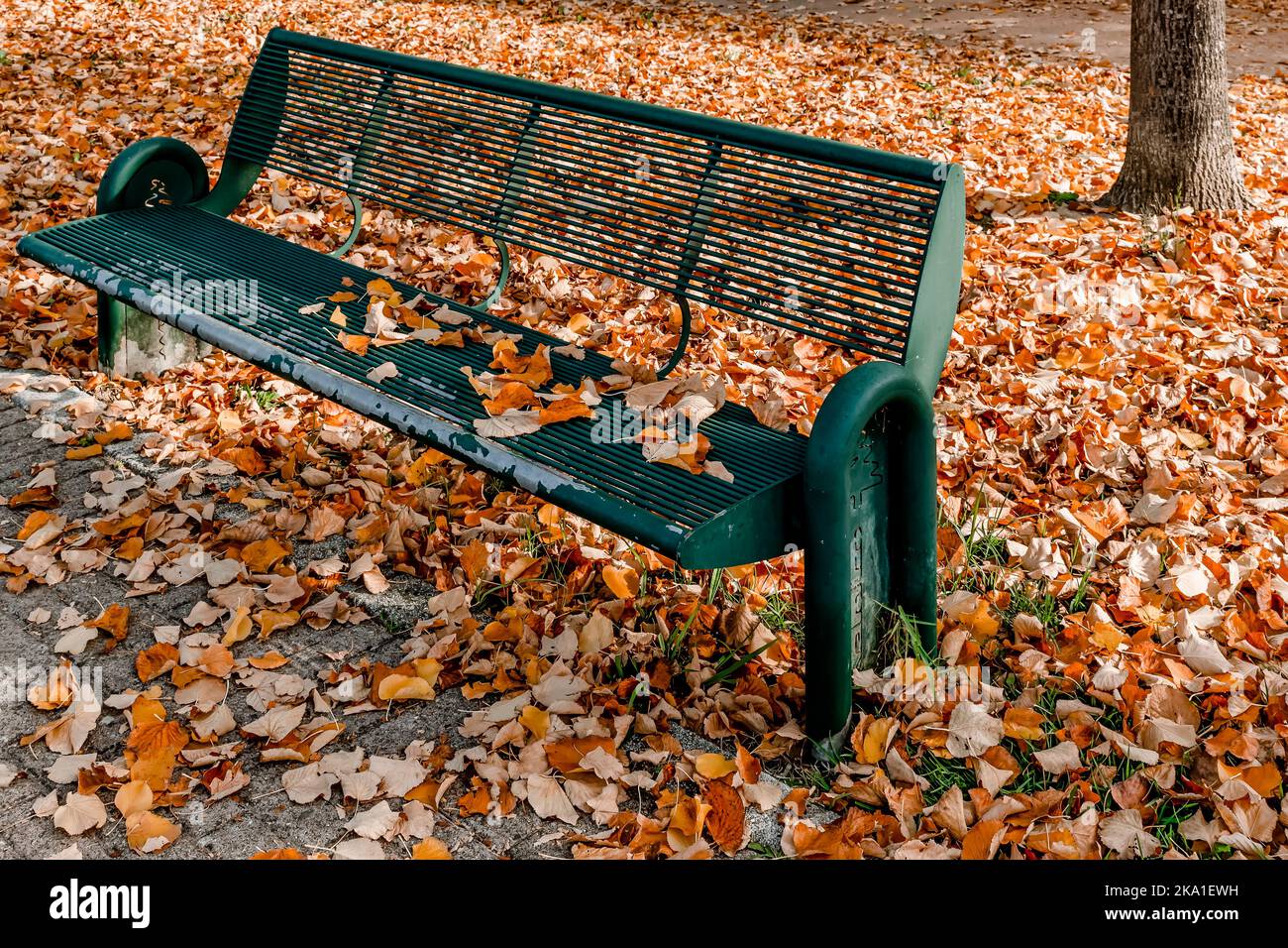 A green bench of a city public park is covered with colorful autumn leaves, Bientina, Pisa, Italy Stock Photo
