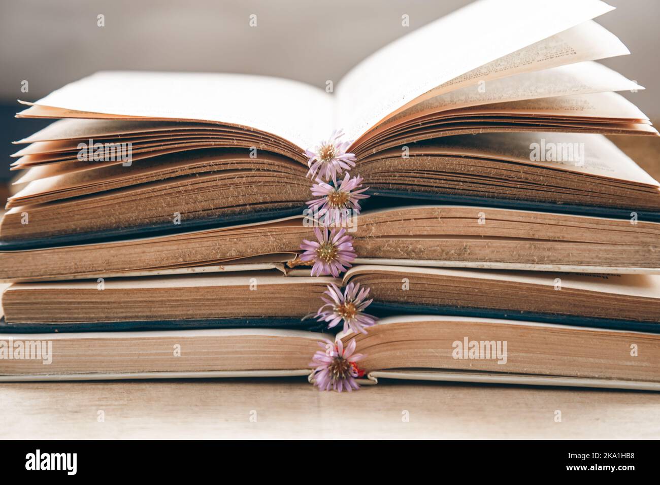 Open old books stacked, close-up on blurred background. Stock Photo