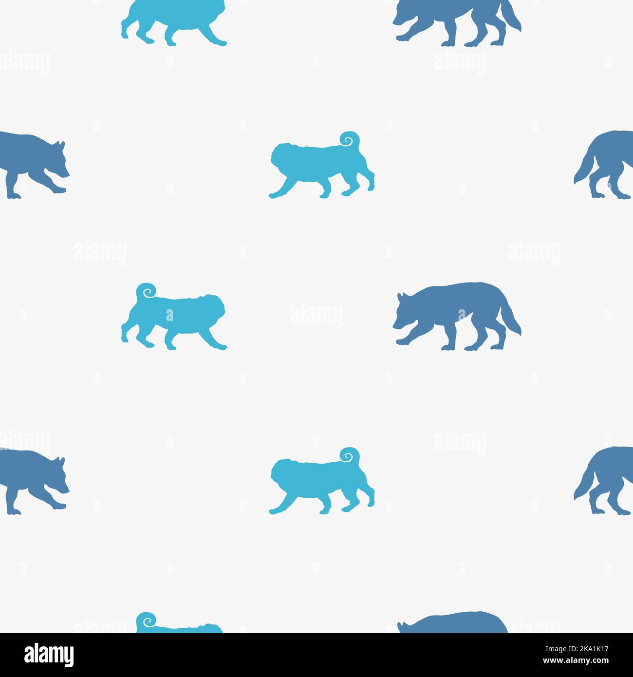 Chinese pug and white swiss shepherd dog puppies. Dog silhouette