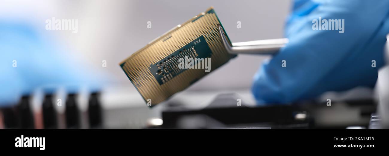Engineer is holding microprocessor tweezers from motherboard Stock Photo