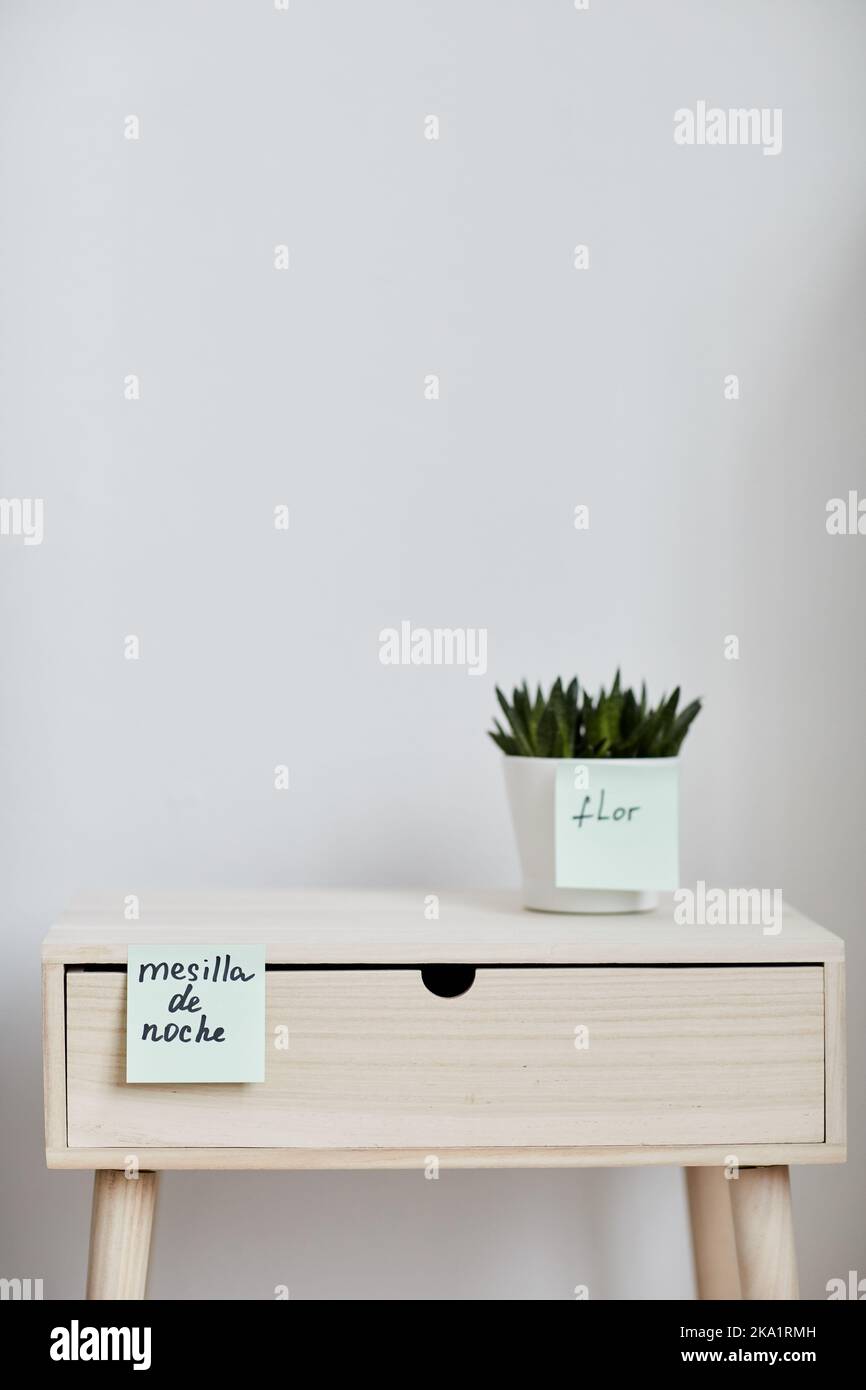 Foreign words written on notepapers stuck on small white flowerpot with