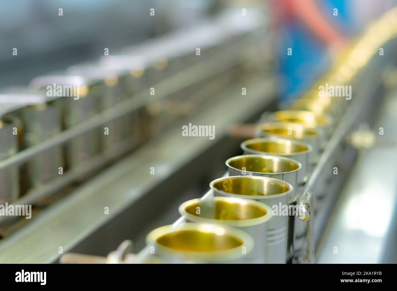 Canned fish factory. Food industry. Sardines in red tomato sauce in