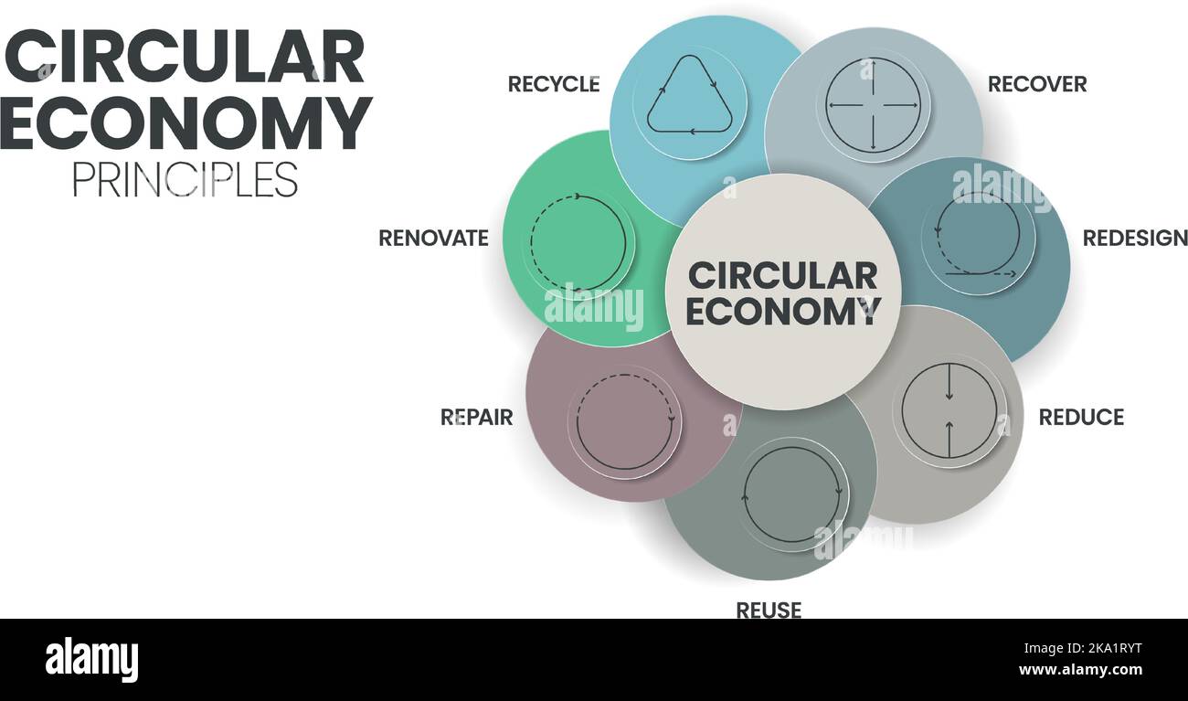 7R circular economy principles concept for economic sustainability of production and consumption has 7 steps to analyze such as reduce, recycle, recov Stock Vector