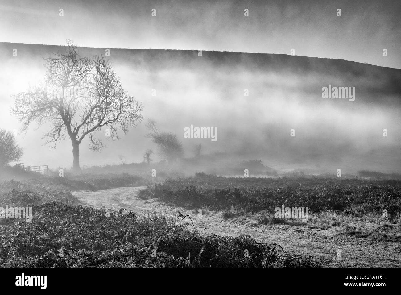 Monochrome landscape fog on the North Yorkshire Moors Stock Photo Alamy