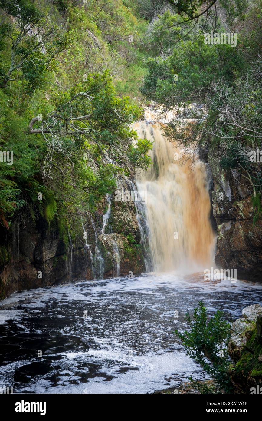 Waterfall on the Disa River, The brown water colour is from tannins, leached from the indigenous vegetation. Betty's Bay. Whale Coast, South Africa. Stock Photo