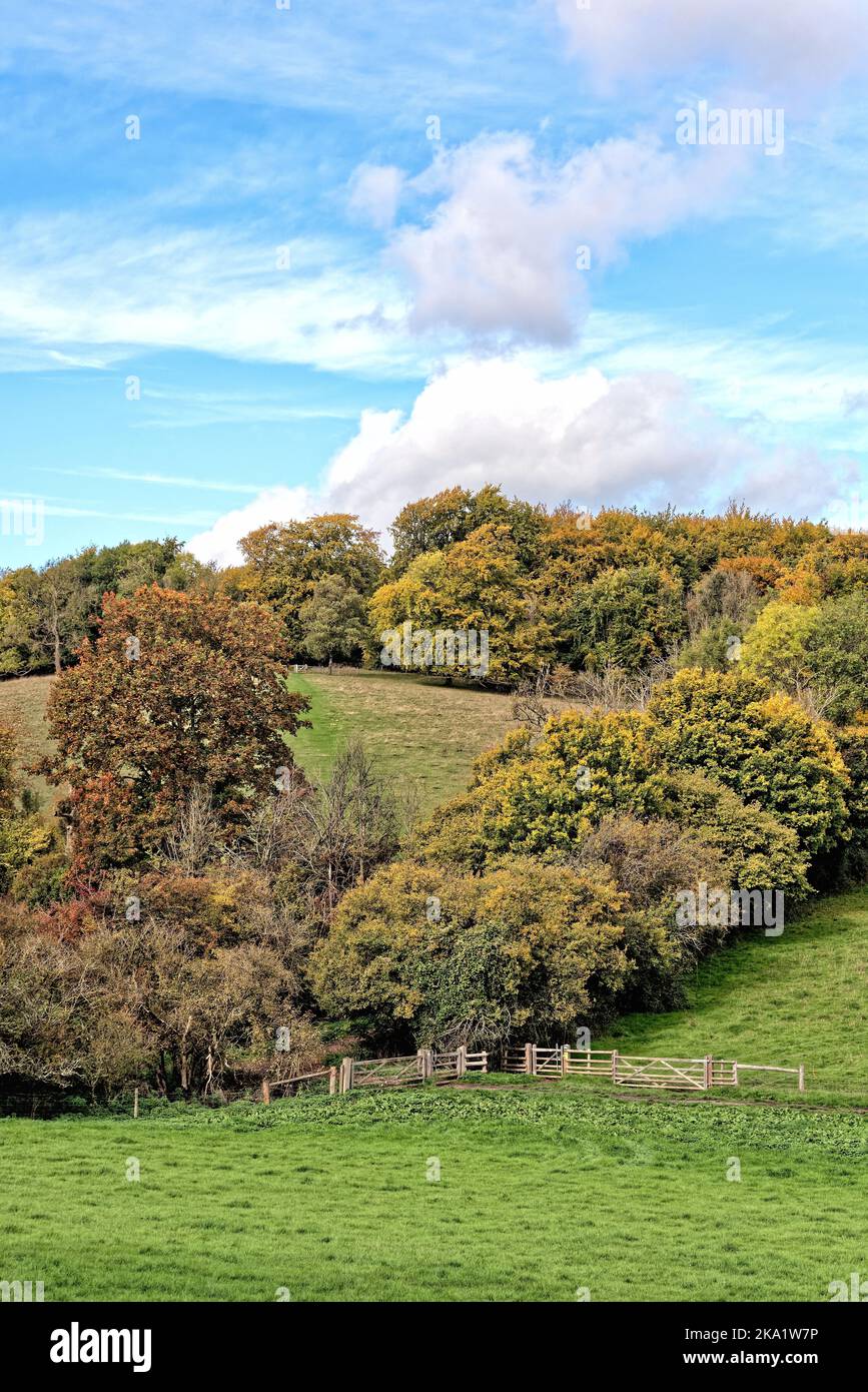 The remote countryside at Ranmore Common in the Surrey Hills on an