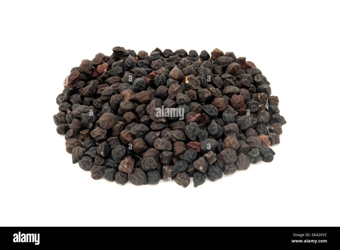 Black Chickpeas on a white background Stock Photo