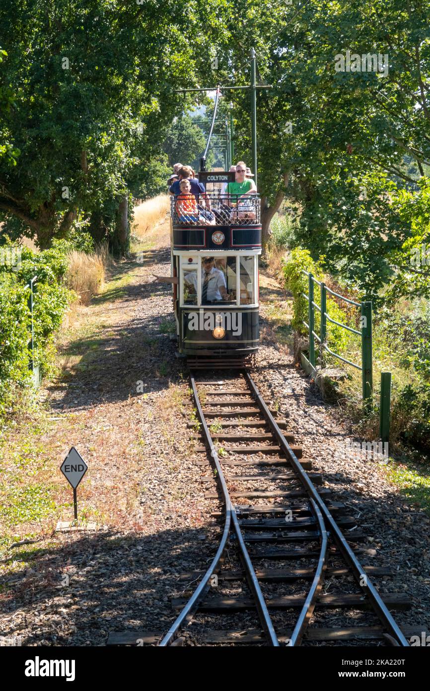 Trams on the Seaton tramway, an East Devon tourist attraction which runs between Seaton and Colyton. Stock Photo