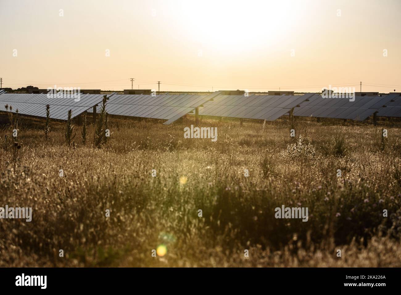 Solar panels in an installation in a desert area Stock Photo - Alamy - Solar Panel Installation In Hot Desert Climates
