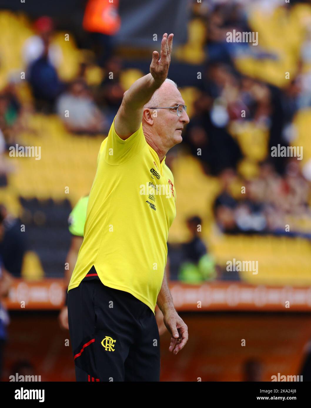 Técnico Dorival Júnior do Flamengo, da partida entre Flamengo e Athletico, pela Final da Copa Libertadores 2022, no Estádio Monumental Isidro Romero Carbo neste sábado 29. Stock Photo