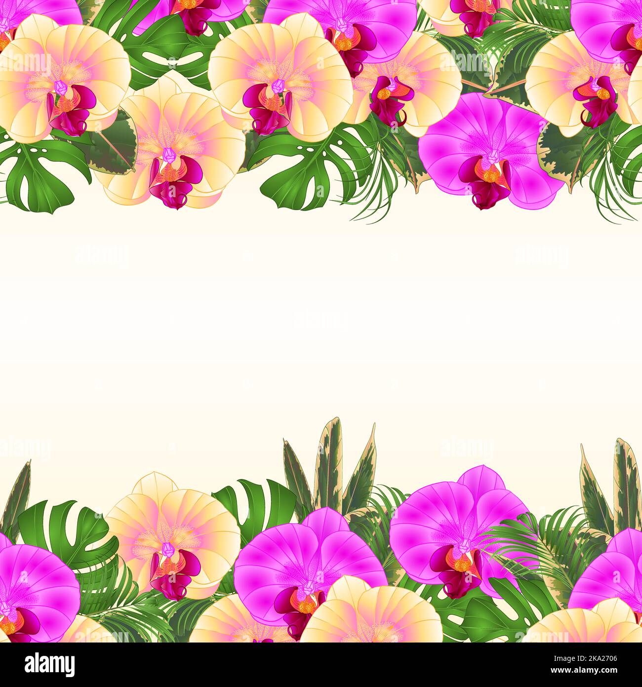 Floral seamless background bouquet with tropical flowers floral ...